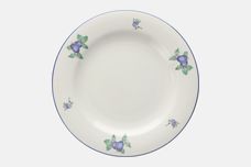 Royal Doulton Blueberry - T.C.1204 Dinner Plate 10 5/8" thumb 1