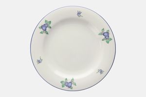 Royal Doulton Blueberry - T.C.1204 Dinner Plate
