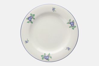 Royal Doulton Blueberry - T.C.1204 Dinner Plate 10 5/8"