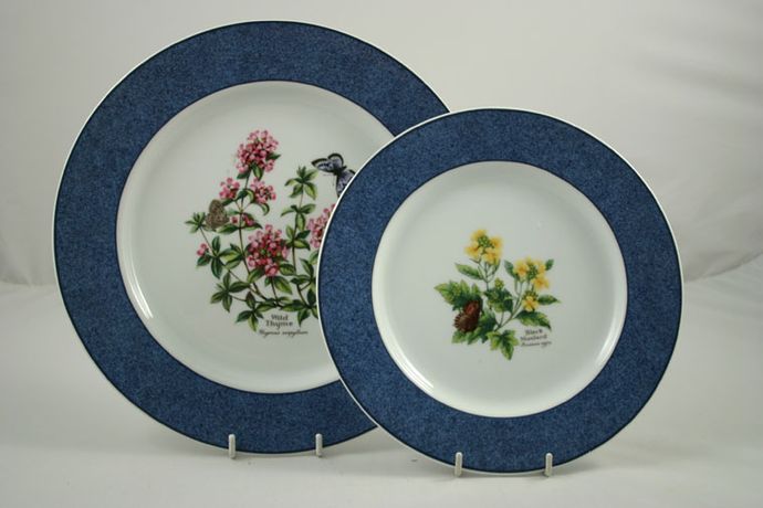 Royal Worcester Worcester Herbs - Thick Blue Rim